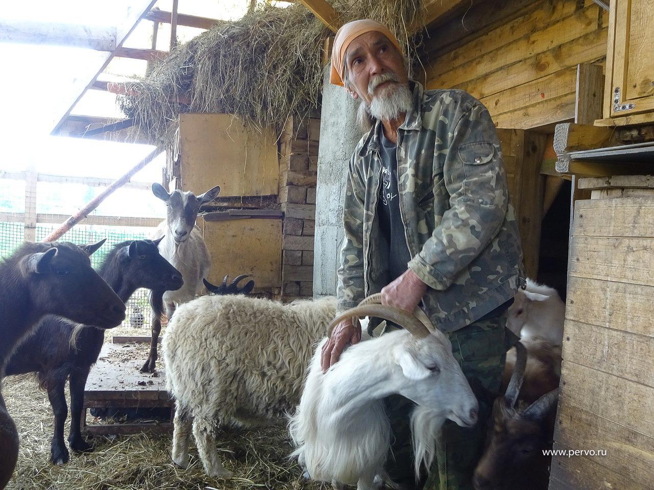 ЛЕТЧИК, КОТОРЫЙ ДЕЛАЕТ СЫР | Вечерний Первоуральск